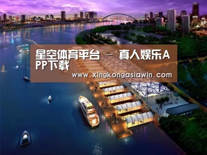 案例展示八