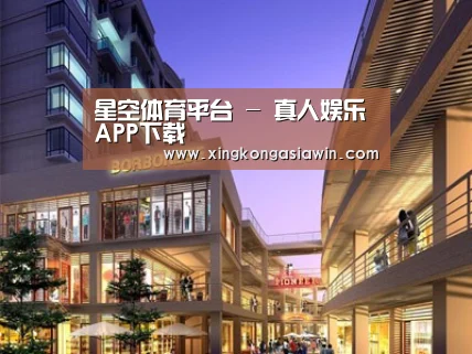 案例展示一