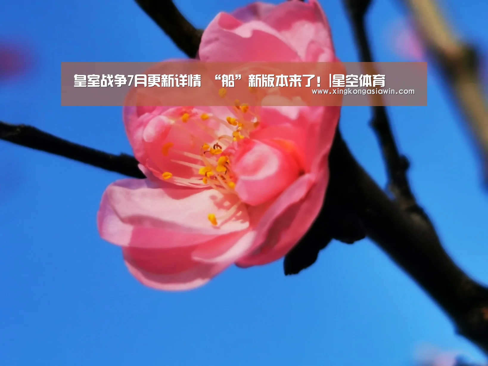 星空电竞